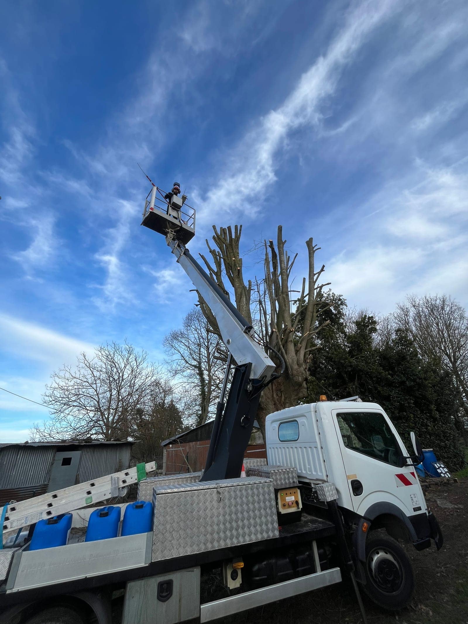 Camion équipé d’une nacelle élévatrice devant un arbre taillé, sous un ciel bleu.