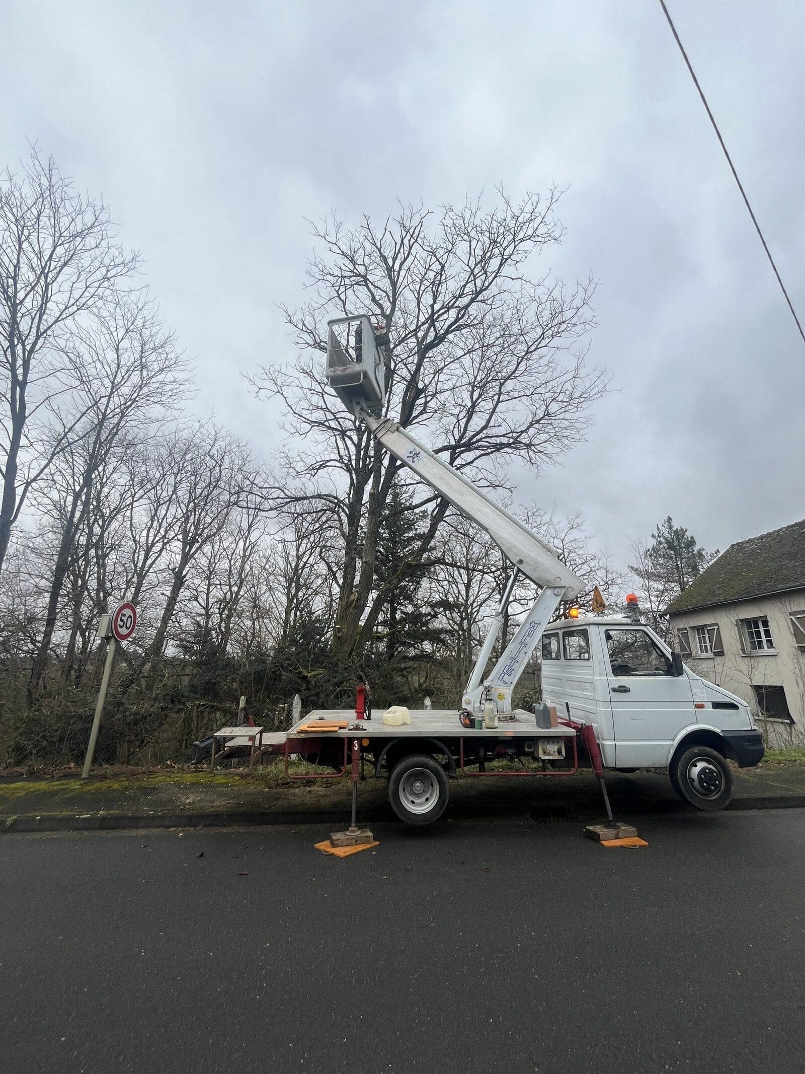 Élagage d’un grand arbre en bord de route depuis une nacelle élévatrice.